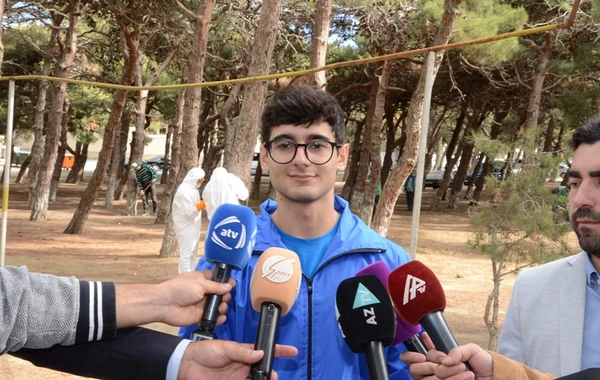 Bakıda xəstə ağacların aşkarlanması və müalicəsi ilə bağlı tədbirlər görülüb - FOTO