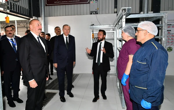 Azərbaycan və Türkiyə prezidentləri Zəngilanda “Dost Aqropark”-ın açılışında iştirak ediblər - FOTO - YENİLƏNİB