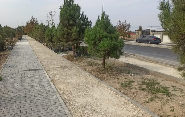 Bakının daha bir avtomobil yolunda velosiped yolu salındı - FOTO