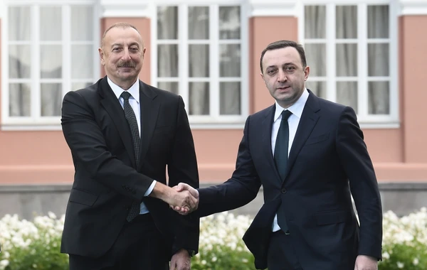 Президент Азербайджана и премьер-министр Грузии выступили с заявлениями для прессы - ОБНОВЛЕНО + ВИДЕО