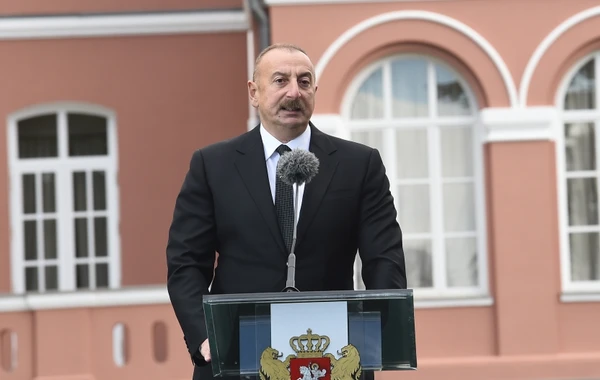 Azərbaycan Prezidenti və Gürcüstanın Baş naziri mətbuata bəyanatlarla çıxış ediblər - YENİLƏNİB + VİDEO