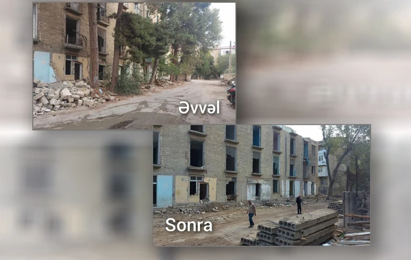Tikinti zamanı ağacları kəsən şirkətlə bağlı sənədlər Baş Prokurorluğa göndərilib