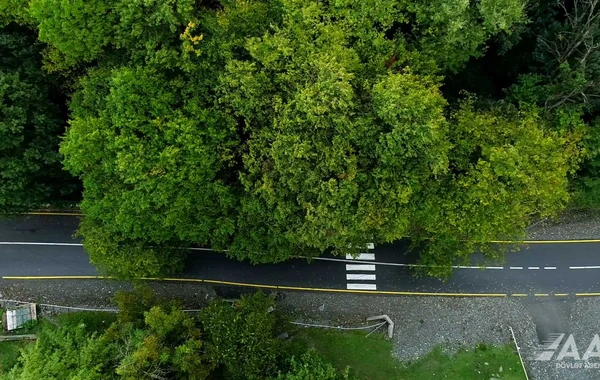 Qəbələdə 10 yaşayış məntəqəsini əhatə edən yollar yenidən qurulub - VİDEO/FOTO