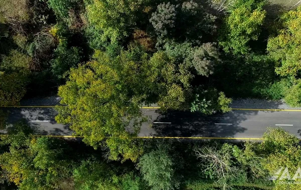 Qəbələdə 10 yaşayış məntəqəsini əhatə edən yollar yenidən qurulub - VİDEO/FOTO