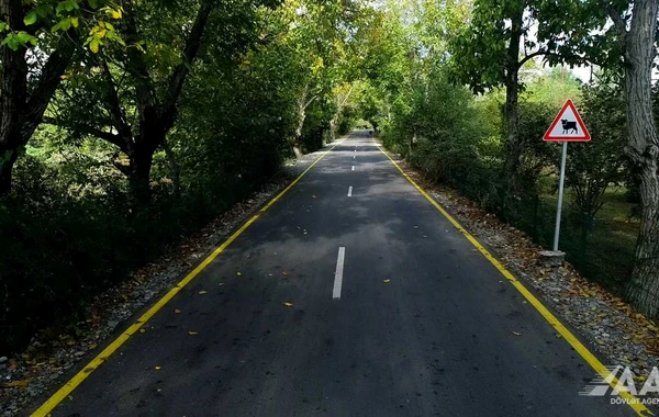 Qəbələdə 10 yaşayış məntəqəsini əhatə edən yollar yenidən qurulub - VİDEO/FOTO