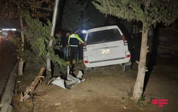 Xırdalanda "protiv" gedən sürücü ağaca çırpıldı - FOTO/VİDEO