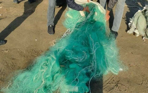 Qanunsuz ov edən 8 nəfər cəzalandırılıb - FOTO