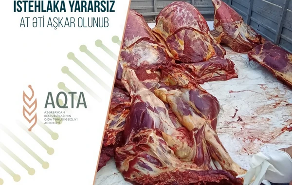 İstehlaka yararsız 300 kiloqram at cəmdəyi aşkarlandı - FOTO