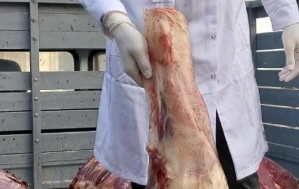 İstehlaka yararsız 300 kiloqram at cəmdəyi aşkarlandı - FOTO