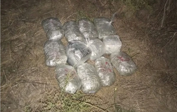 Задержаны 55 нарушителей госграницы Азербайджана - ВИДЕО
