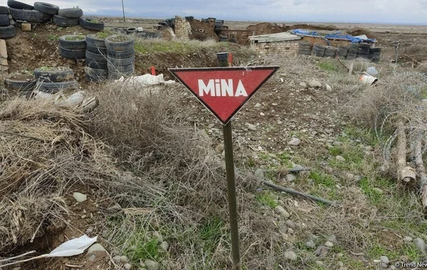 Ağdamda dörd minadan ibarət tələ-minası aşkarlanıb - FOTO