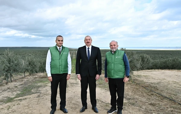 Prezident Zirədə zeytun emalı zavodunun açılışında iştirak edib - FOTO