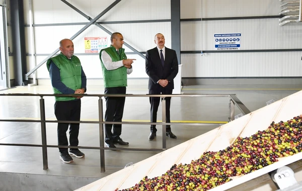 Prezident Zirədə zeytun emalı zavodunun açılışında iştirak edib - FOTO