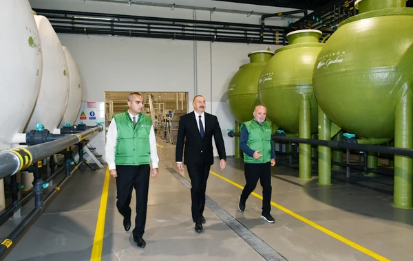 Prezident Zirədə zeytun emalı zavodunun açılışında iştirak edib - FOTO