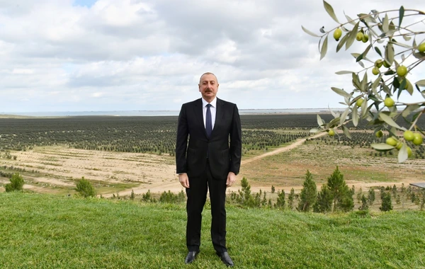 Prezident Zirədə zeytun emalı zavodunun açılışında iştirak edib - FOTO