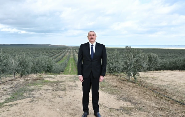 Prezident Zirədə zeytun emalı zavodunun açılışında iştirak edib - FOTO