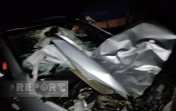 Avtomobilin qarşısına çıxan at qəzaya səbəb olub: Xəsarət alan var - FOTO