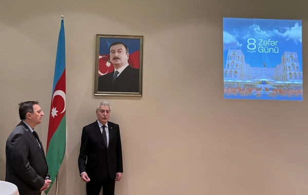 Litvada Zəfər Günü və Dövlət Bayrağı Günü qeyd edilib - FOTO