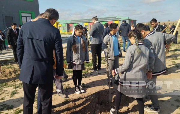 Zəfər Günü ilə bağlı Ağalı kəndində ağacəkmə aksiyası keçirilib - FOTO