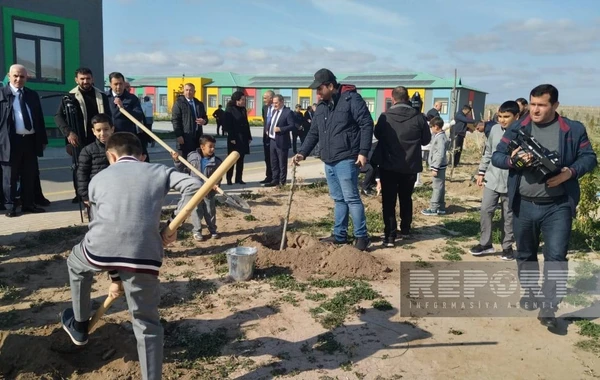 Zəfər Günü ilə bağlı Ağalı kəndində ağacəkmə aksiyası keçirilib - FOTO