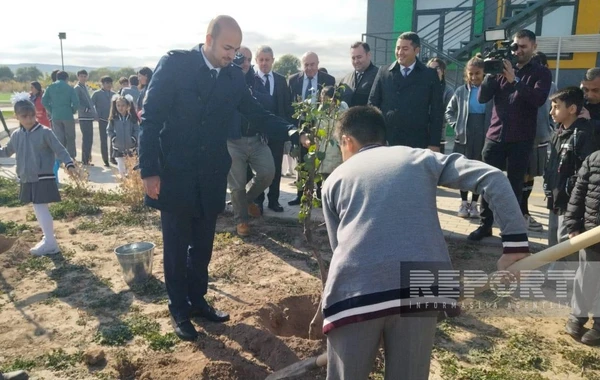 Zəfər Günü ilə bağlı Ağalı kəndində ağacəkmə aksiyası keçirilib - FOTO