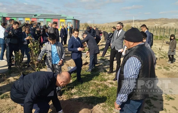 Zəfər Günü ilə bağlı Ağalı kəndində ağacəkmə aksiyası keçirilib - FOTO