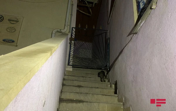 Bakıda hesaba görə obyekt sahibi ilə müştəri arasında dava olub - FOTO