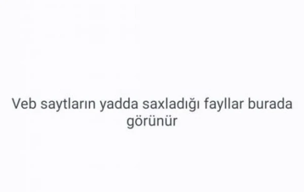 Brauzerin sayt datasını necə təmizləmək olar? - FOTO