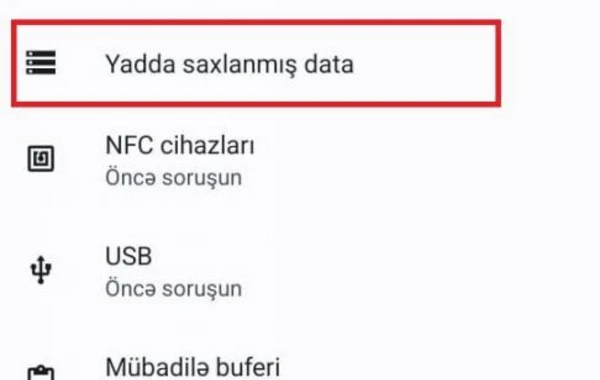Brauzerin sayt datasını necə təmizləmək olar? - FOTO