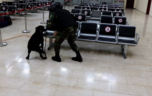 FHN Zabrat hava limanında təlim keçirib - FOTO/VİDEO