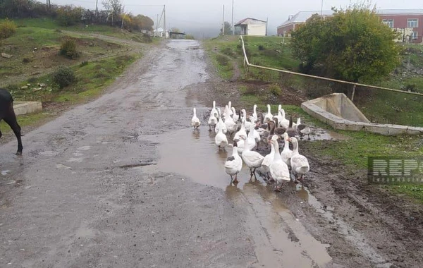 Oğuzda uzun illərdir təmir olunmayan yol yararsız vəziyyətə düşüb - FOTO