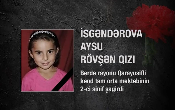 Bərdə terrorunda həlak olan uşağın bacısı dünyaya gəlib - FOTO