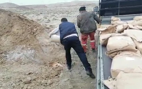Ton yarımdan artıq təhlükəli maddə utilizasiya edilib - FOTO/VİDEO