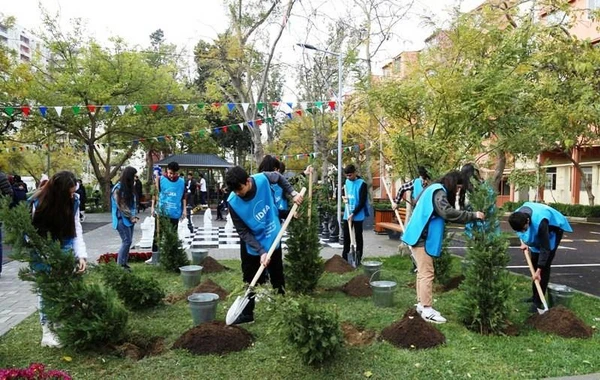 Bakıda daha bir həyət yenilənib - FOTO