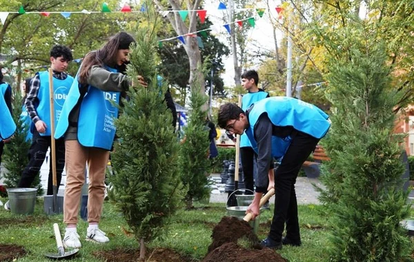Bakıda daha bir həyət yenilənib - FOTO
