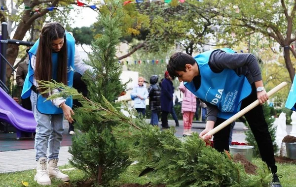 Bakıda daha bir həyət yenilənib - FOTO