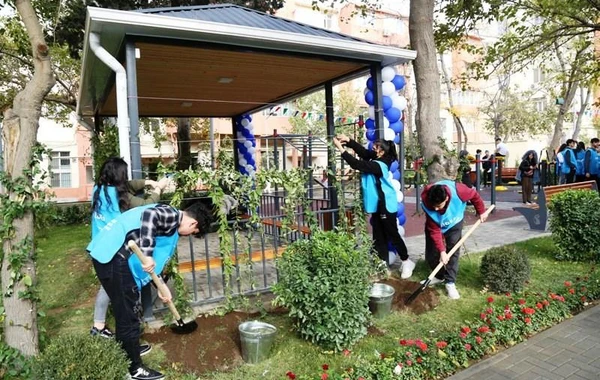 Bakıda daha bir həyət yenilənib - FOTO