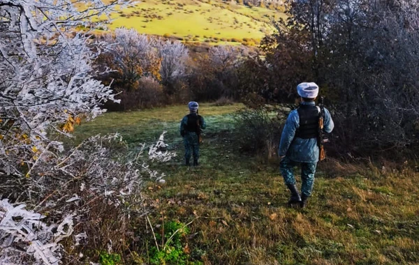 DSX: "Ötən ay sərhədi pozan 47 nəfər saxlanılıb" - FOTO