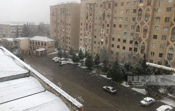 В Гяндже выпал первый снег - ФОТО
