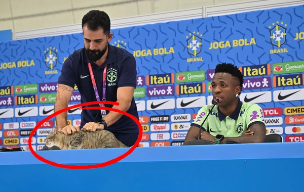 Braziliya millisinin rəsmisi mətbuat konfransında pişiyi masadan atdı - VİDEO