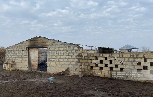 Kürdəmirdə güclü yanğın: 39 baş iribuynuzlu heyvan tələf olub - FOTO