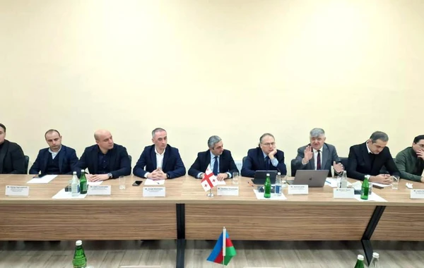 Azərbaycan-Gürcüstan sərhədində bu yenilik ola bilər - FOTO