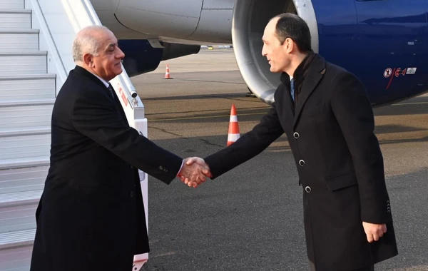 Azərbaycanın Baş naziri Gürcüstana gedib - FOTO