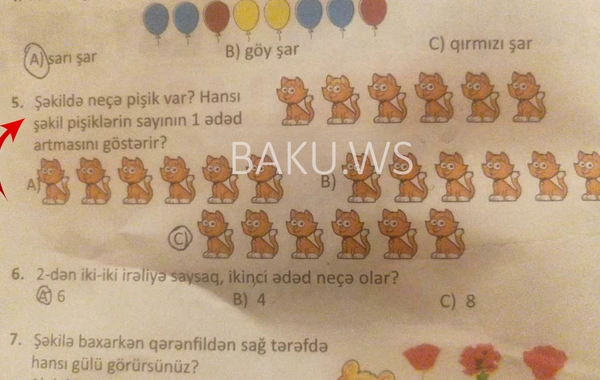 Bakı məktəblərində daha bir rəzillik - FOTOFAKT