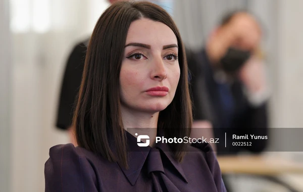 Azərbaycanın səfiri Fransadan Ermənistana çağırış etdi - FOTO