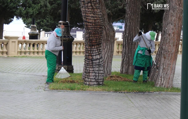 Paytaxt Yeni il üçün bəzədilir - FOTOREPORTAJ