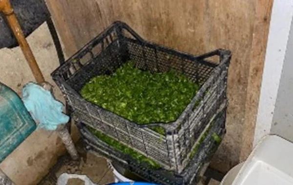 “Gürcü” təndir evinin fəaliyyəti məhdudlaşdırıldı - FOTO