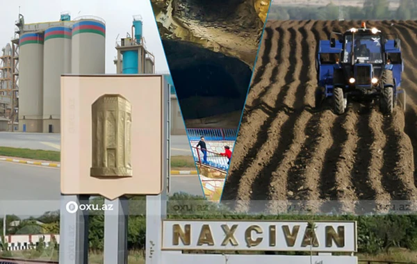 Naxçıvanda çox gəlirli biznes sahələri gözləmədə: “Talıbov xofunun ləğvi, sahibkar azadlığı, sərhəd biznesi” - FOTO