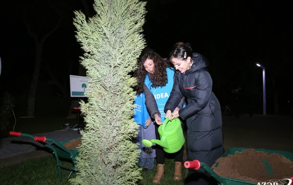 Leyla Əliyevanın təşəbbüsü ilə Bakıda ağacların qeydiyyatı və nömrələnməsi üzrə layihəyə start verilib - FOTO