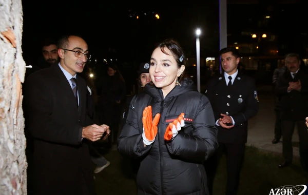 Leyla Əliyevanın təşəbbüsü ilə Bakıda ağacların qeydiyyatı və nömrələnməsi üzrə layihəyə start verilib - FOTO